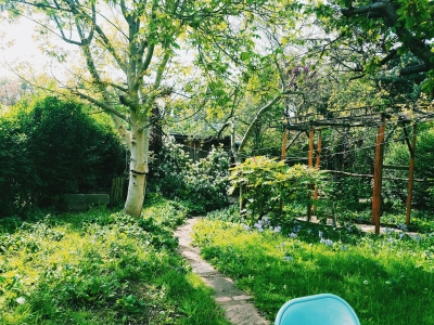 Hoe technologie je achtertuin transformeert